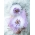 Lavender Sequins Marabou Feathers and Vintage Crystal Sequin & Flowers Butterfly Wings & Headband Photo Prop Set