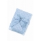 Light Blue Personalized Minky Dot Baby Blanket